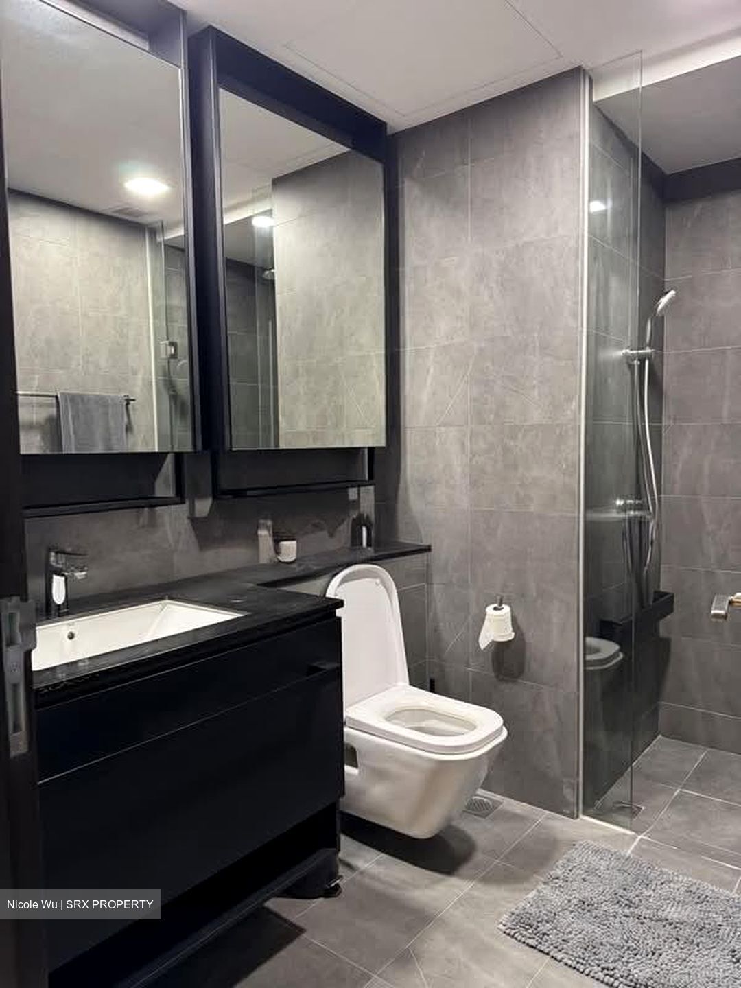 Park Colonial (D13), Condominium #577677541